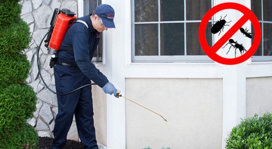 Bahçelerarası Tahtakurusu İlaçlama böcek ilaçlama ve haşere kontrolü — ilaclama-tr.com